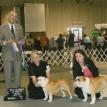 Bambi and Bruiser Win!