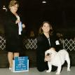 Bubba wining Best of Winners Perry GA Aug 2004