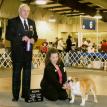 Bruiser's first show