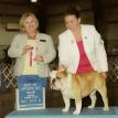 Bruiser won Best of Winners in Perry GA May 2009