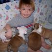 BCollin with the puppies
